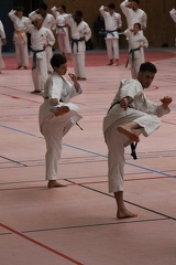 IMG 3102