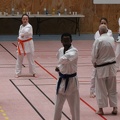IMG 3119