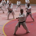 IMG 3130 (2)