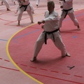 IMG 3130