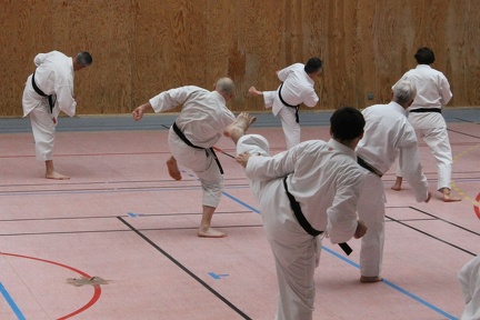 IMG 3137 (2)