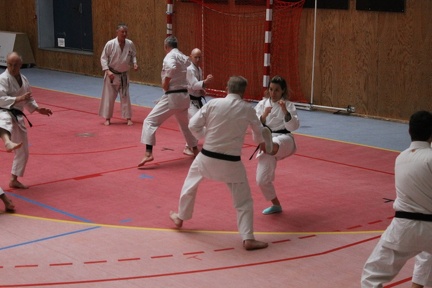 IMG 3151