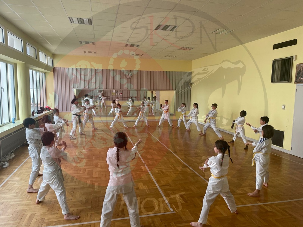 IMG-20240614-WA0010