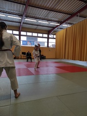 IMG 20241215 113934
