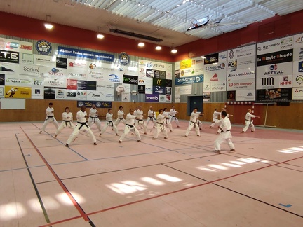 IMG-20250201-WA0007