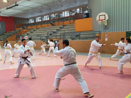 IMG-20240309-WA0033