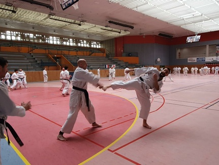 IMG-20240309-WA0040