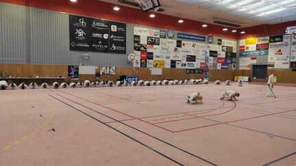 IMG-20260321-WA0012